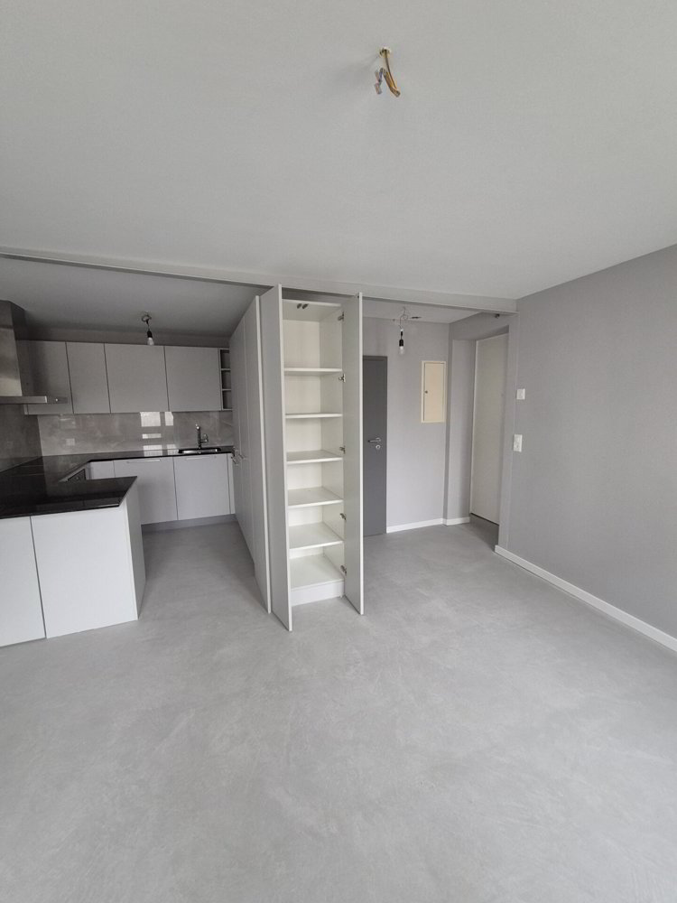Wohnung – Villmergen
