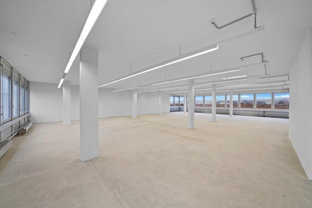 "Praktische Gewerbefläche mit 1'000 kg/m² Bodenlast - Aussicht inkl.!" - Ansicht 2