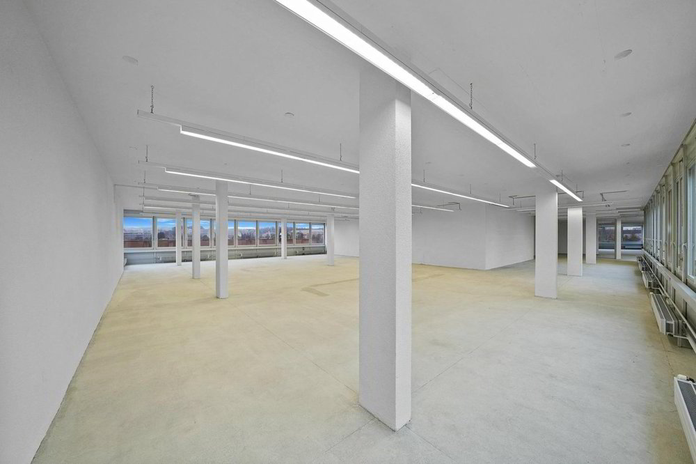 "Praktische Gewerbefläche mit 1'000 kg/m² Bodenlast - Aussicht inkl.!" - Ansicht 5