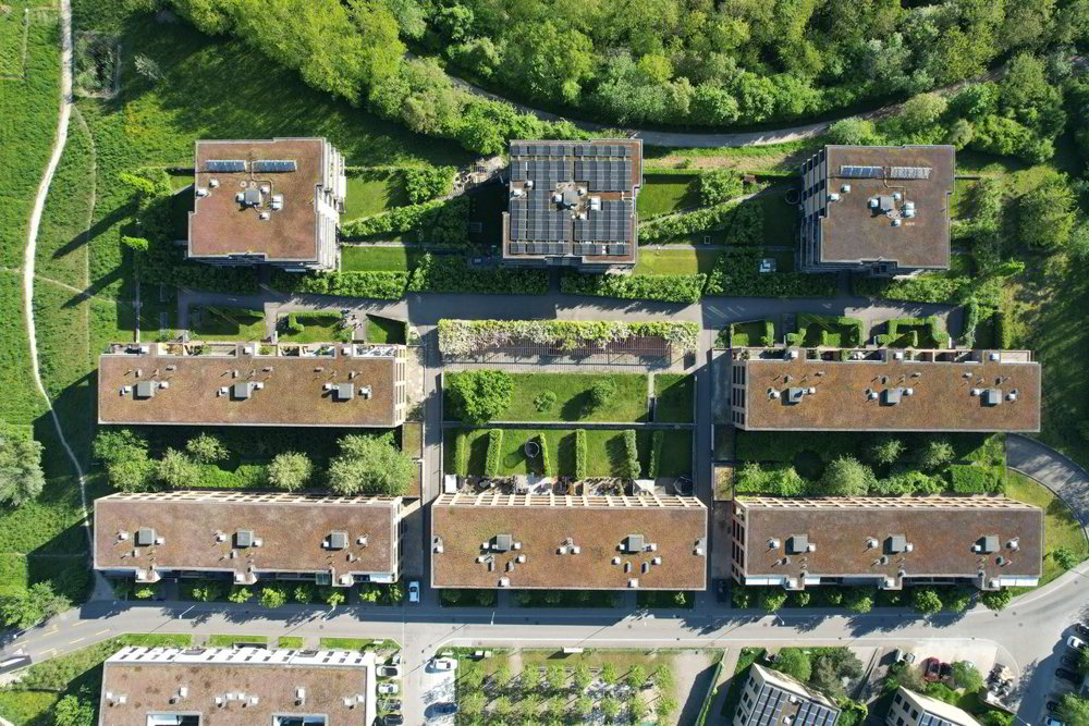 3 rooms Apartment to buy in Allschwil - image 1/13