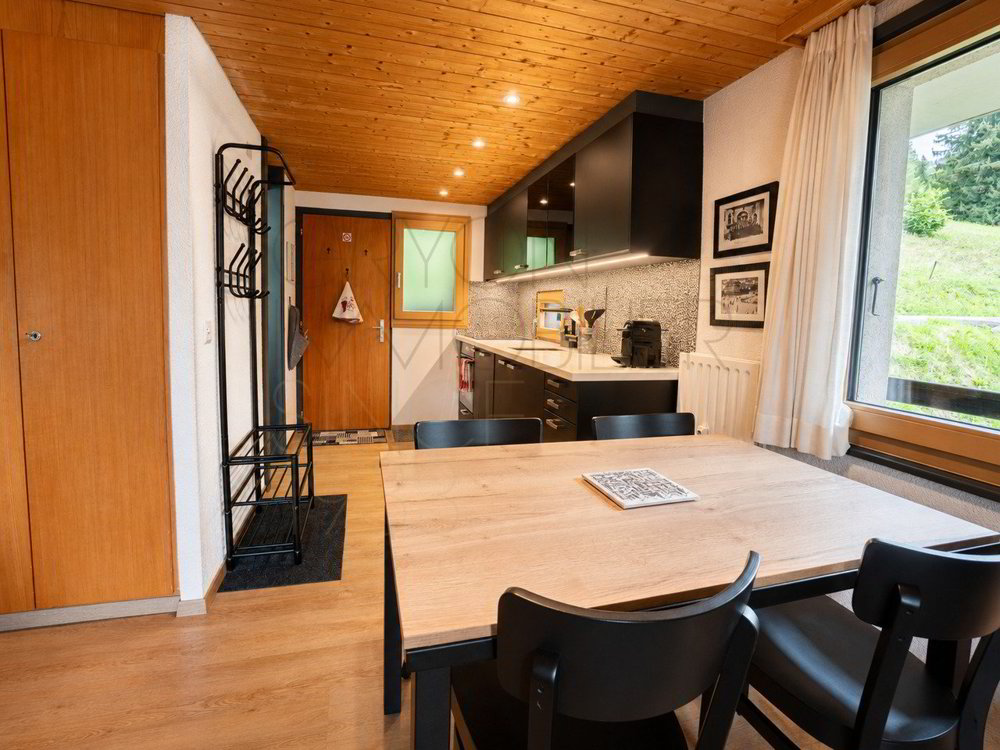 Wohnung – Gryon - Ansicht 4