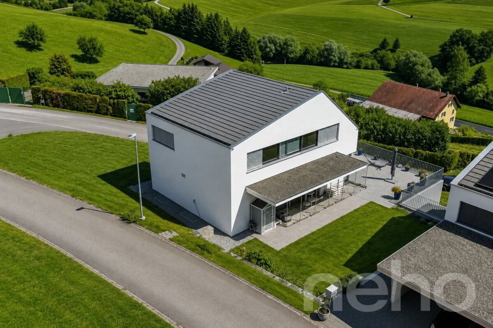 5.5 rooms House to buy in Oberhofen AG - image 1/12