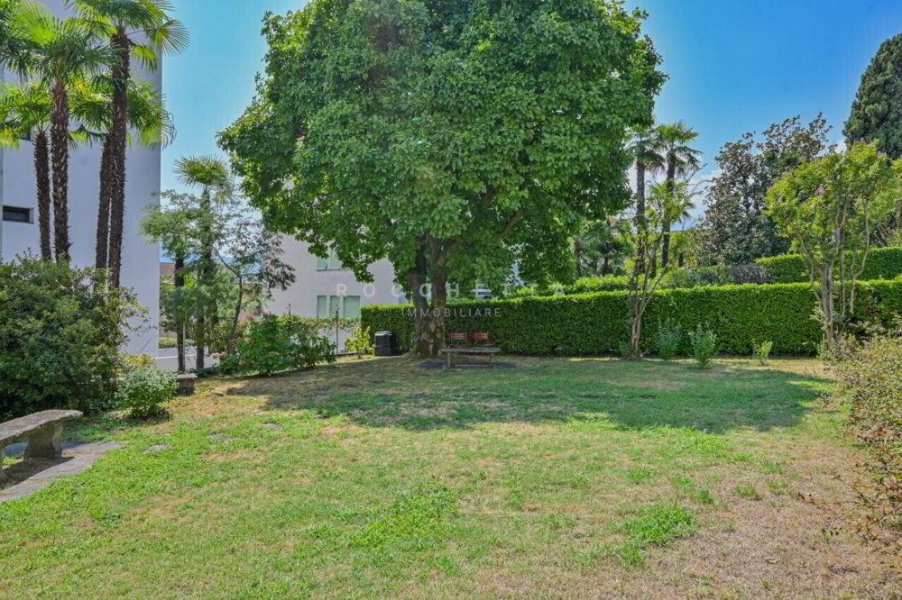 3 rooms Apartment to buy in Muralto - image 1/13