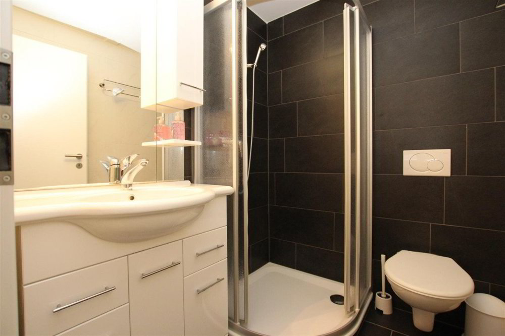 1 rooms Apartment for rent in Geneva - image 1/4