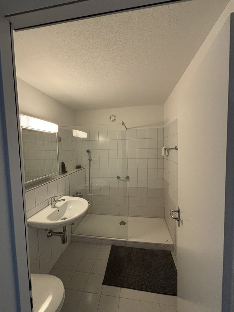 3 rooms Apartment for rent in Hünenberg See - image 1/9