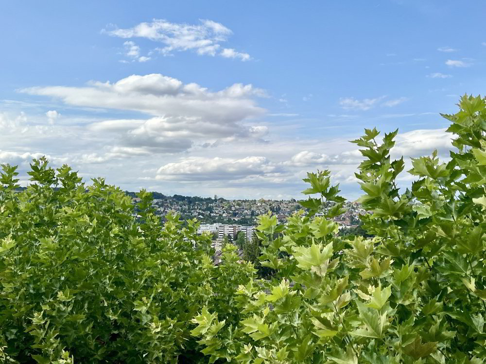 4 rooms House for rent in Therwil - image 1/9