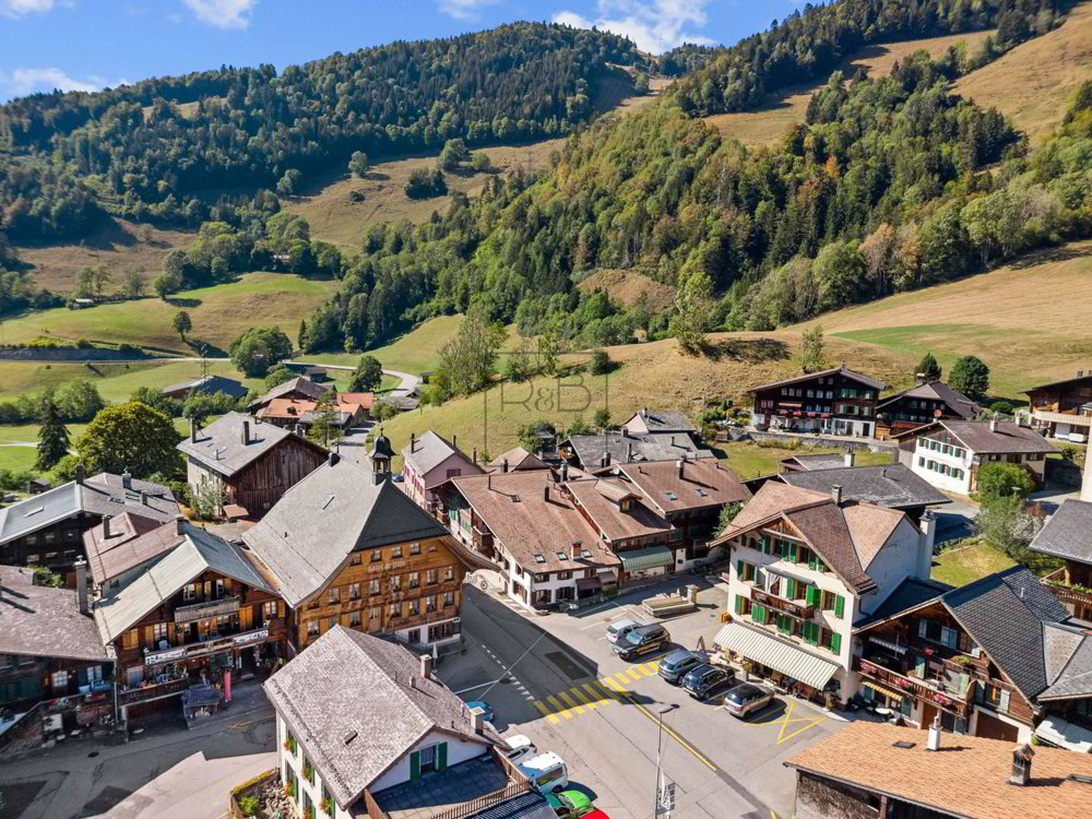 Wohnung – Rossinière - Mehr