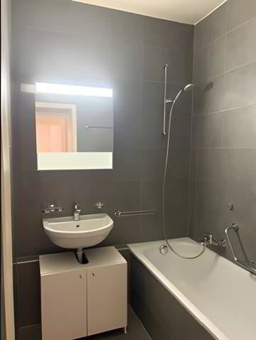 Appartamento di 3 locali in affitto a Genève - immagine 1/5
