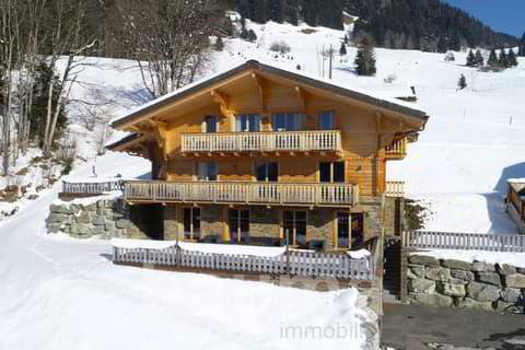 null rooms House to buy in Les Diablerets - image 1/1
