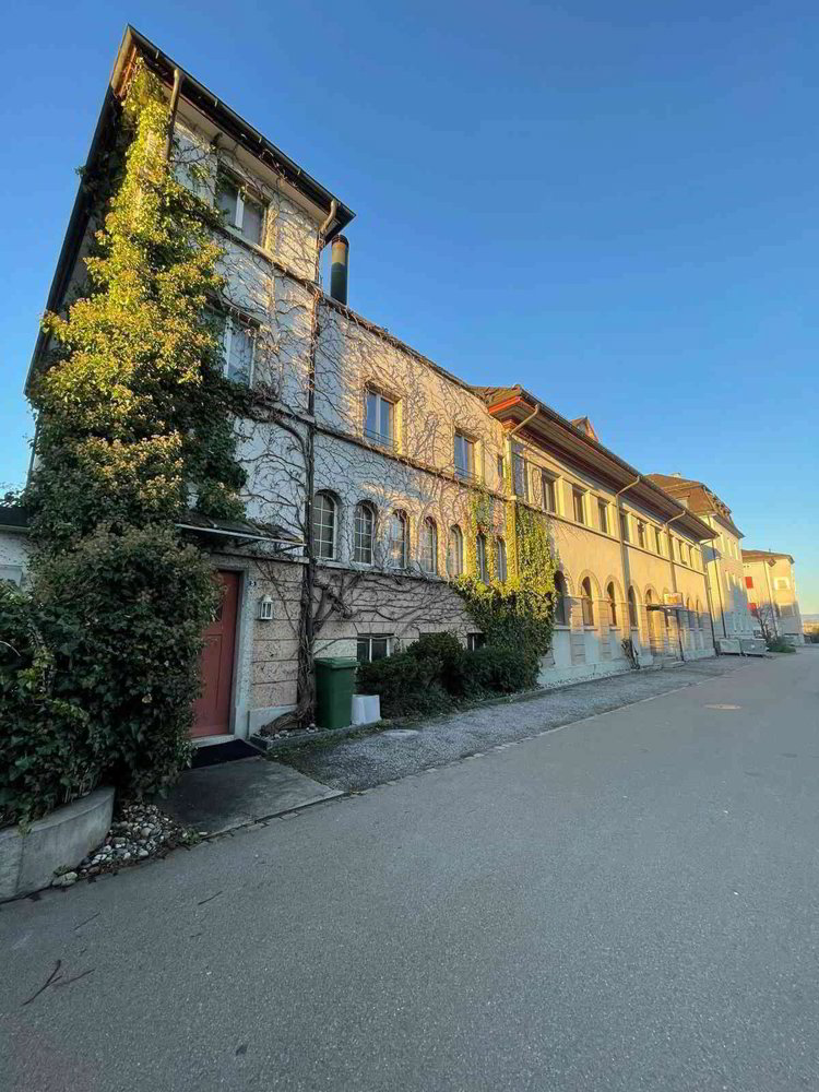 Haus – Rorschach - Ansicht 3