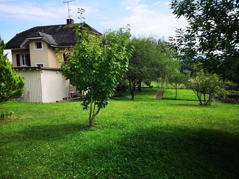 Haus – Bonfol - Ansicht 4