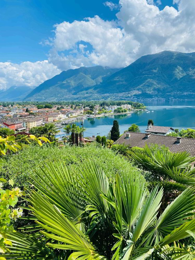 4.5 rooms House to buy in Ascona - image 1/13