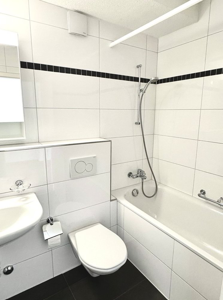 1 rooms Apartment for rent in Birsfelden - image 1/4