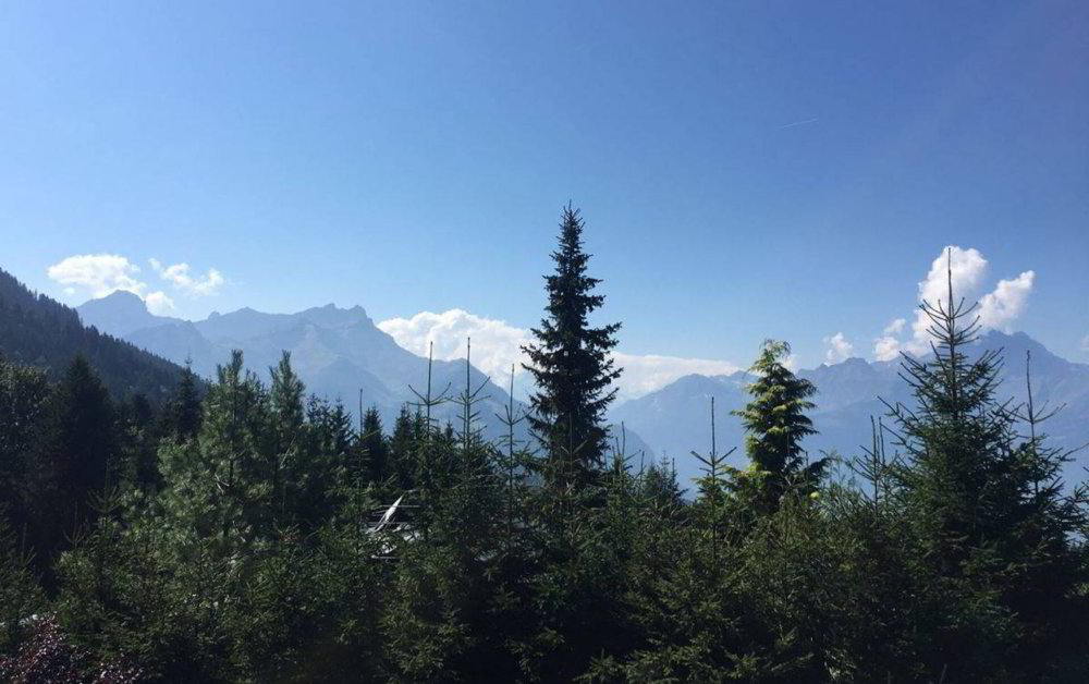 4 Zimmer Haus zu vermieten in Villars-sur-Ollon - Bild 1/8