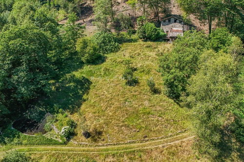 Casa di 3 locali in vendita a Curio - immagine 1/13