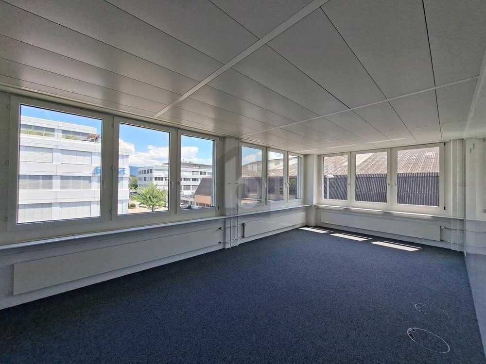 Bureau de 10 pièces en location à Hünenberg - 438 m² - Ansicht 2