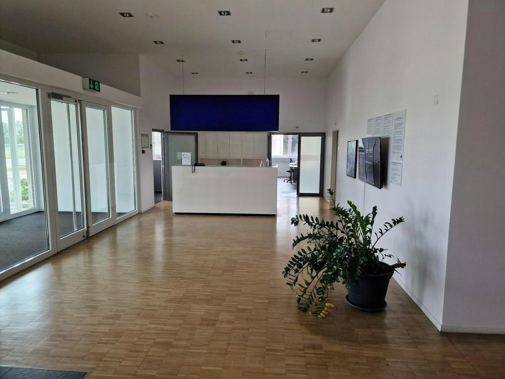 Local commercial en location à Grenchen - 1 500 m² - Ansicht 4