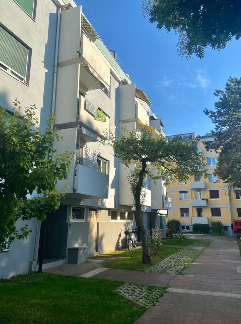 Appartement 1 pièces à louer à Birsfelden - image 1/1