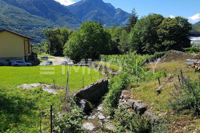 Tra sole e natura