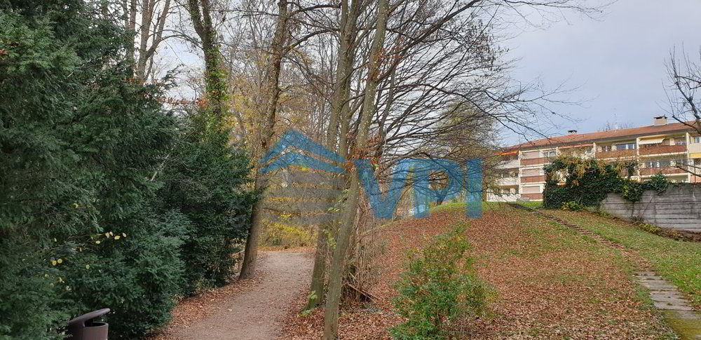 1 rooms Apartment for rent in Grand-Lancy - image 1/13