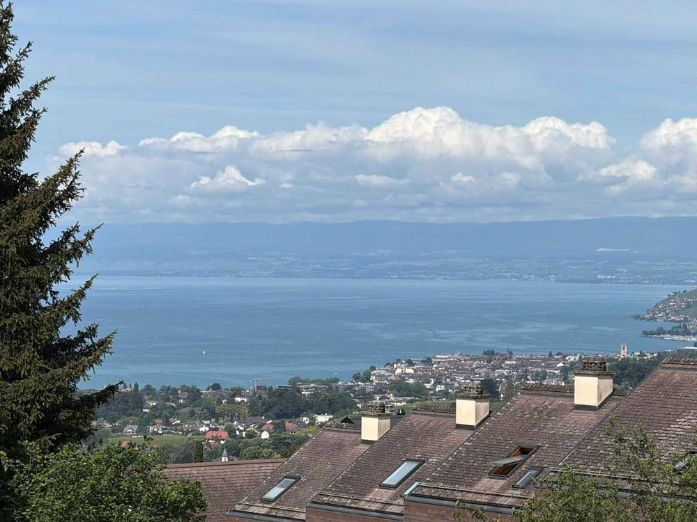 Haus – Montreux - Ansicht 5
