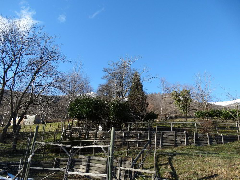 PRATO PER CAVALLI - Ansicht 2