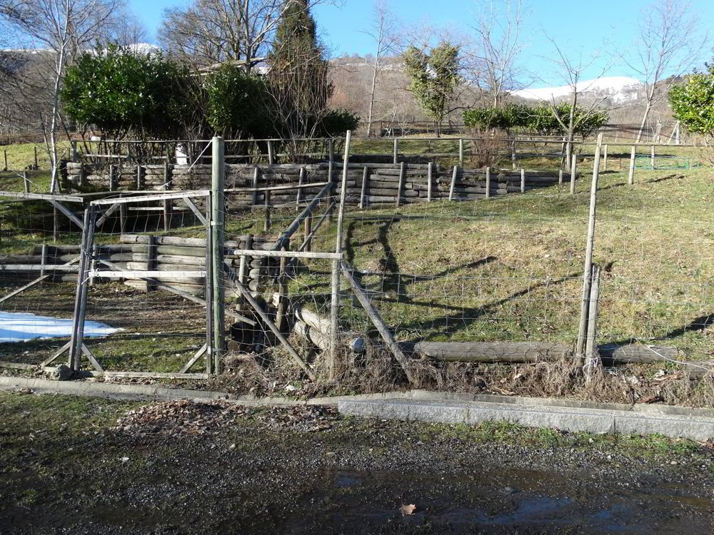 PRATO PER CAVALLI - Ansicht 3