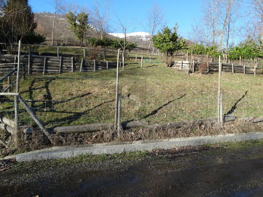 PRATO PER CAVALLI - Ansicht 4