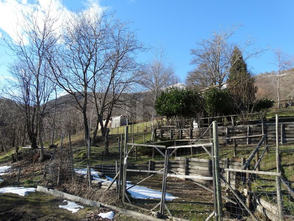 PRATO PER CAVALLI - Ansicht 5