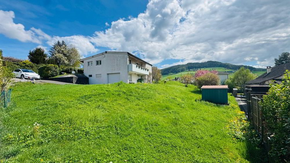 5.5 rooms House to buy in Arisdorf - image 1/24