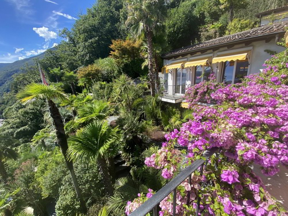 Haus – Brissago - Mehr