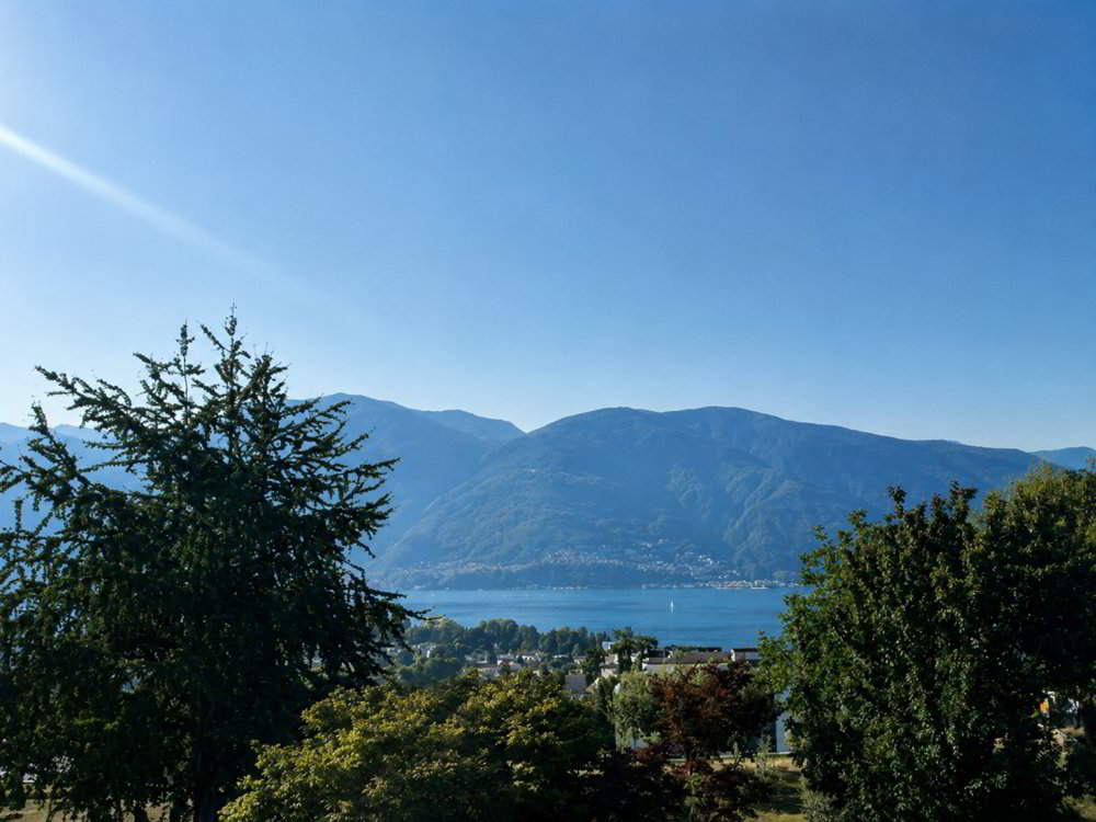 5.5 rooms House to buy in Ascona - image 1/10