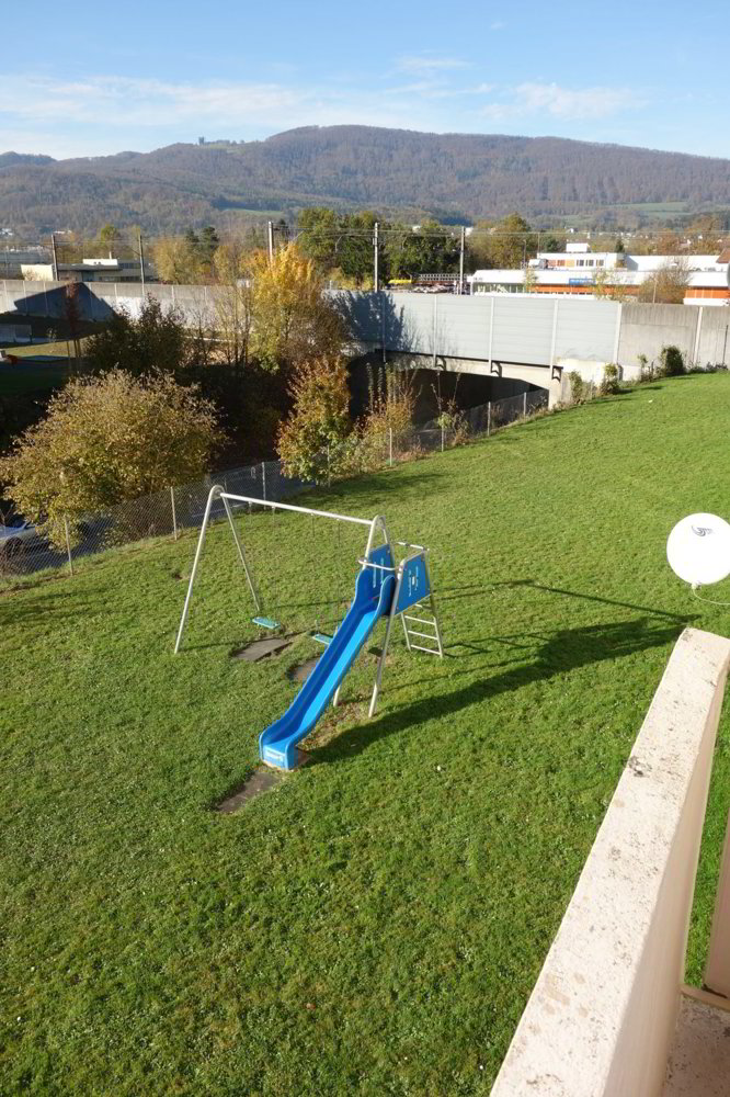 Appartamento di 2 locali in affitto a Dulliken - immagine 1/15