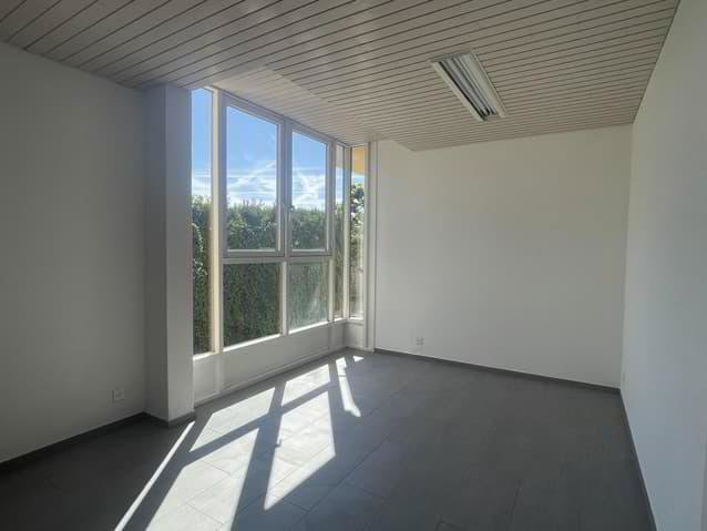 MAGNIFIQUE ARCADE / BUREAUX DE 100 m² À BOSSEY - Ansicht 3