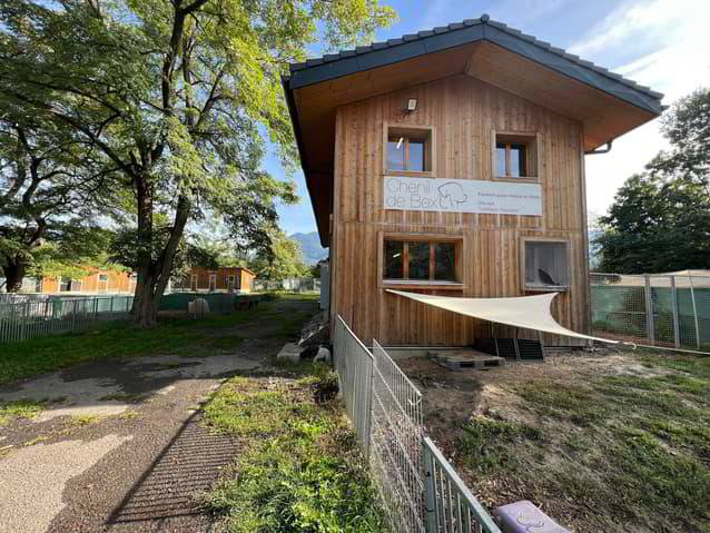 Pension professionnelle canine et féline - Ansicht 5