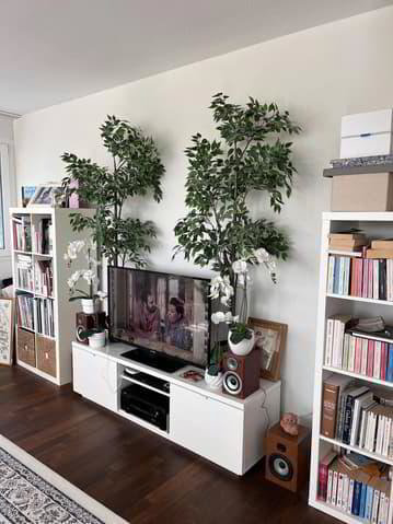 Wohnung – Morges, District de Morges - Ansicht 4