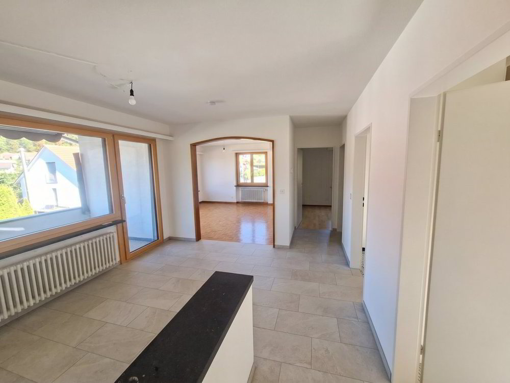 Haus – Seewen SO - Mehr