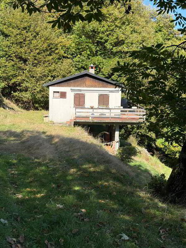 3 rooms House to buy in Brissago - image 1/1