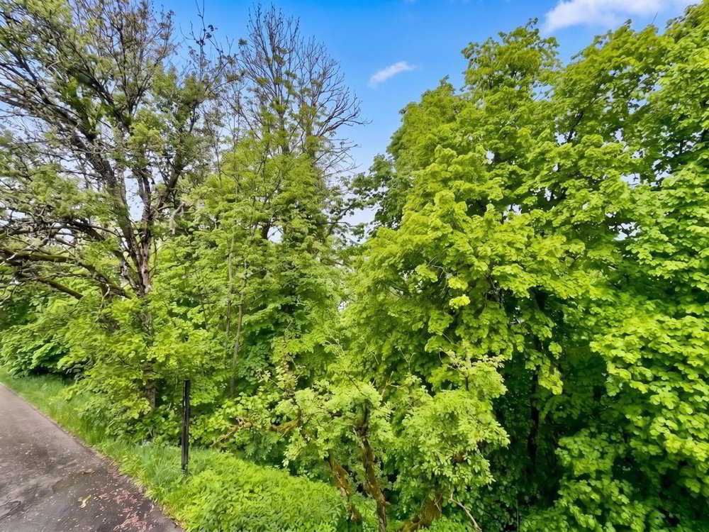 Haus – Les Brenets - Ansicht 4