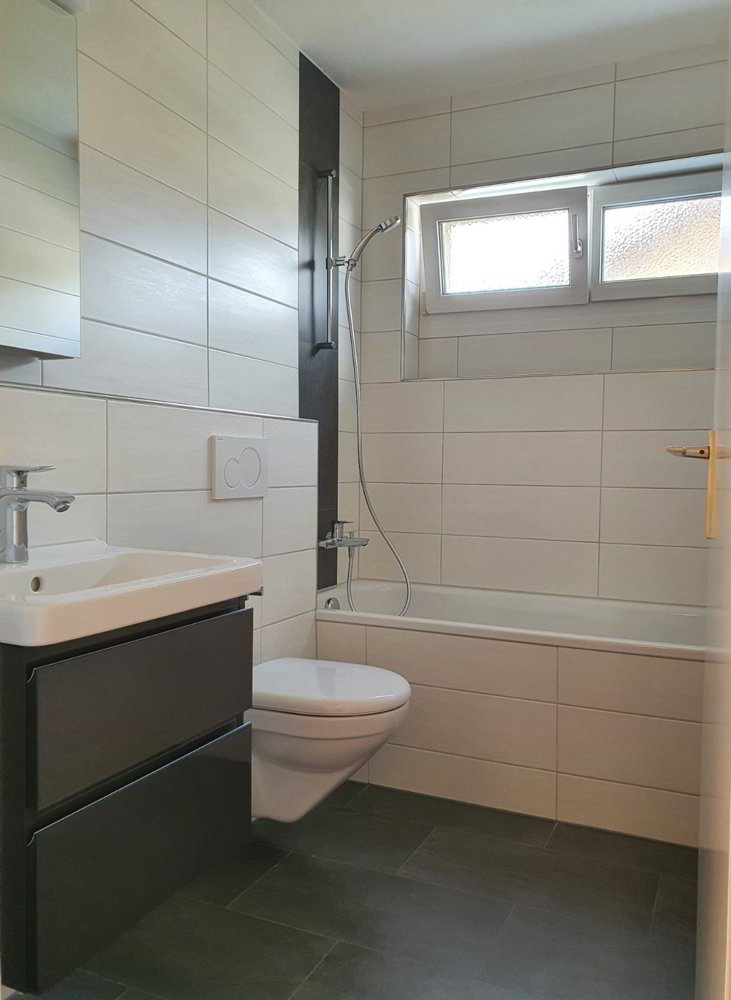 Appartamento di 3 locali in affitto a Zullwil - immagine 1/7