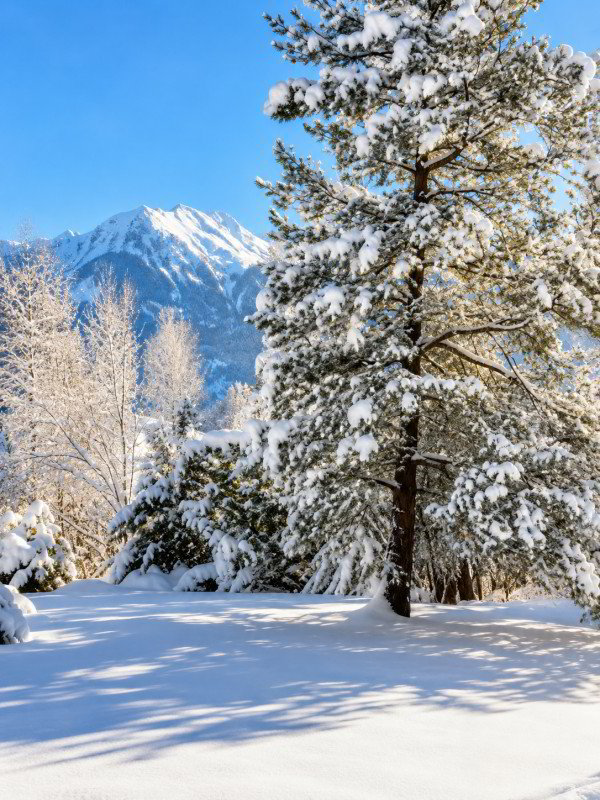 Appartamento di 5 locali in vendita a Gstaad - immagine 1/6