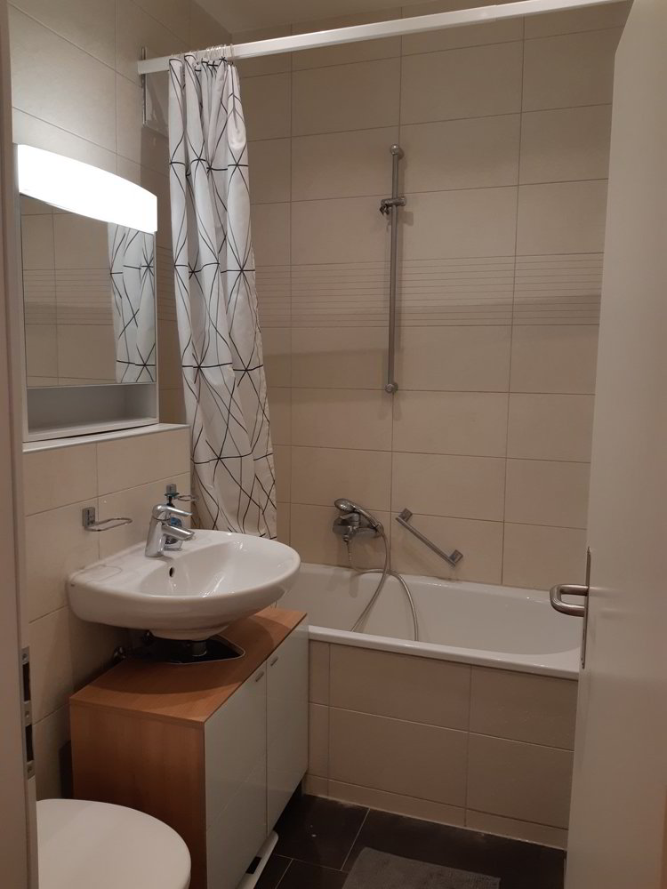 Appartamento di 2 locali in affitto a Zürich - immagine 1/5