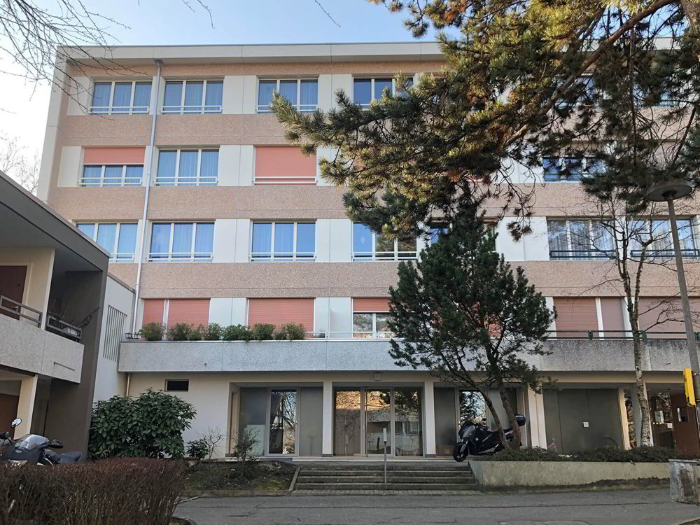Appartamento di 4 locali in affitto a Bernex - immagine 1/1