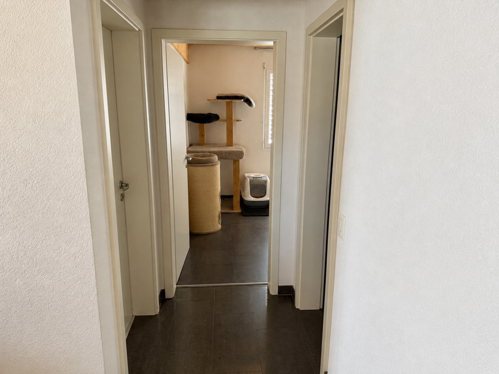 Wohnung – Belfaux - Mehr