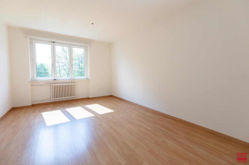 Wohnung – Neuhausen am Rheinfall - Mehr