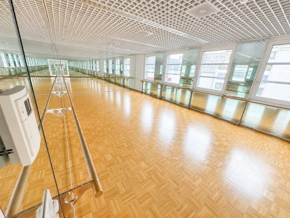 Attraktive Bürofläche mit Fitness-/Praxis-Ausbau in Rapperswil! - Ansicht 2