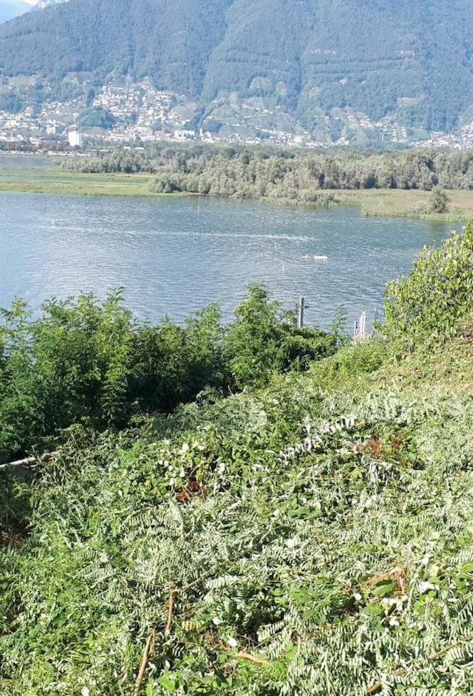 Terreno edificabile con vista panoramica sul Lago Maggiore e sulle montagne - Ansicht 4