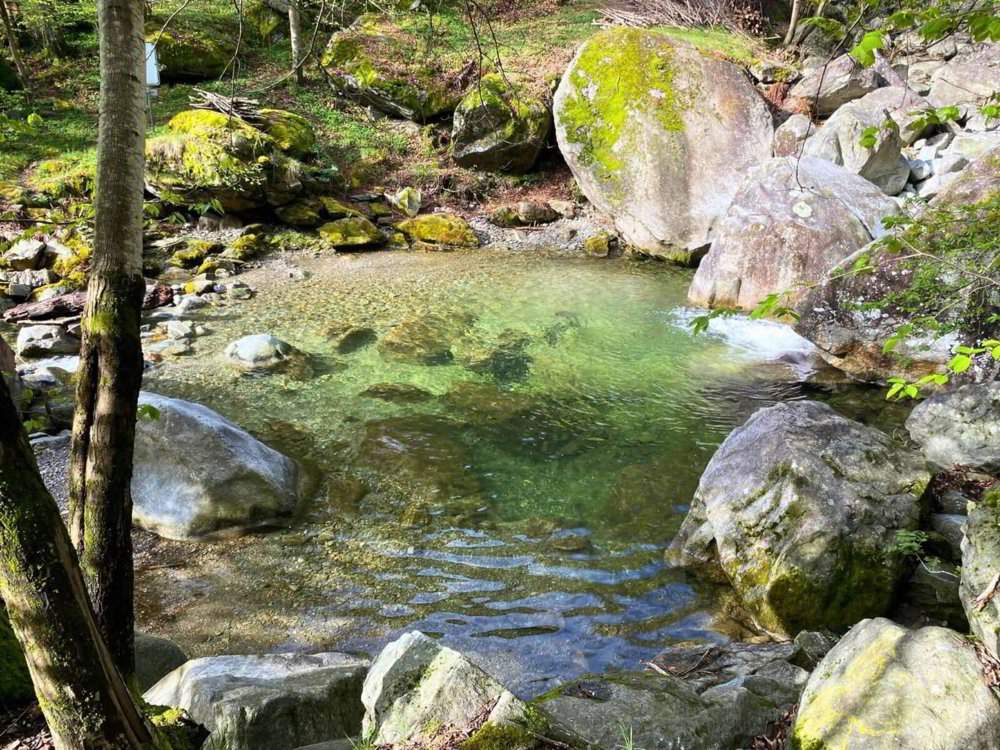 Terreno edificabile con piscina naturale a Giornico - Residenza primaria - Ansicht 2