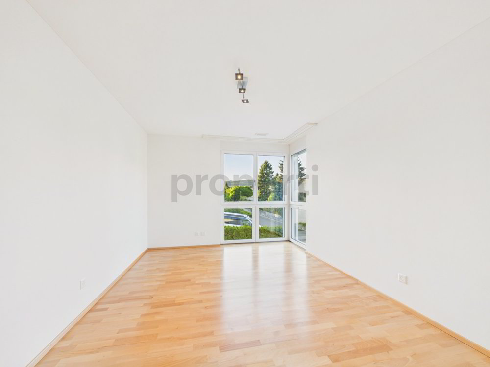 Wohnung – Dachsen - Mehr