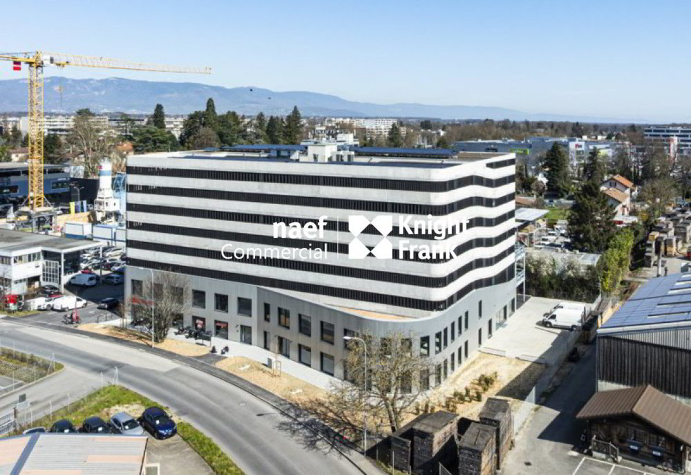 Surface polyvalente de 350 m²  Meyrin/Satigny  Idéal bureaux, showroom, commerce ou atelier - Ansicht 3